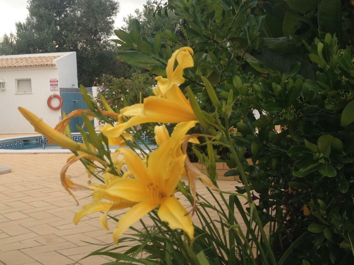Vilabranco Albufeira Kültér fotó