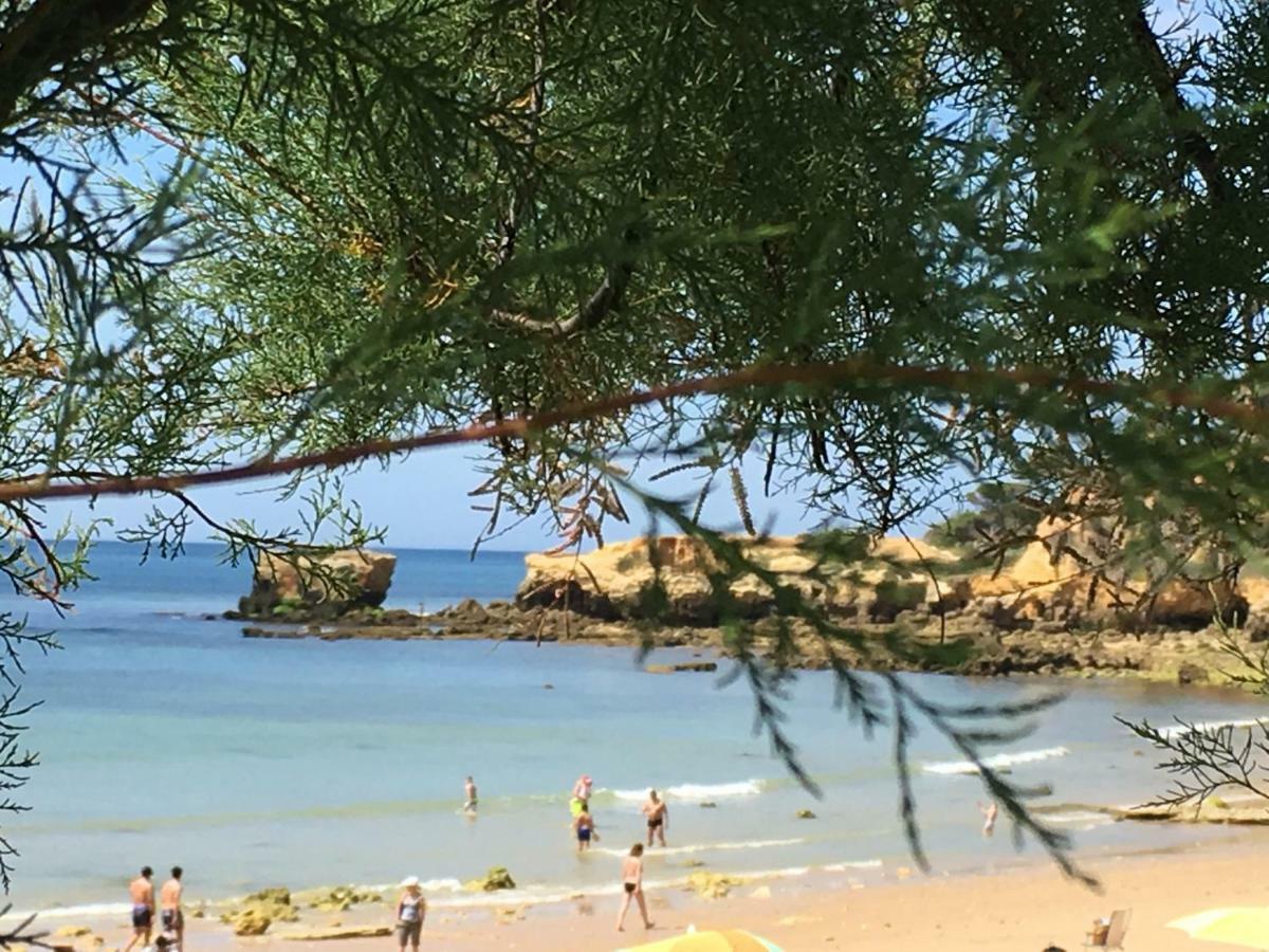 Vilabranco Albufeira Kültér fotó